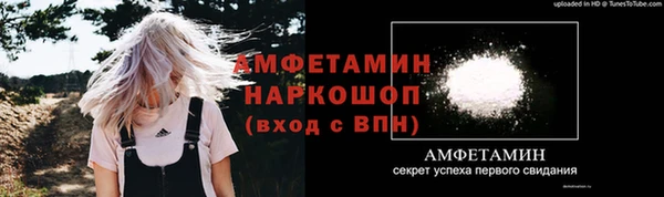 амф Верхний Тагил